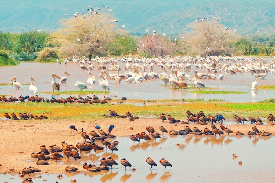 lakemanyaranationalpark